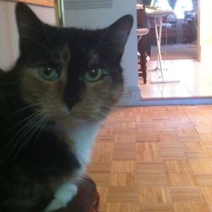 Meet your Posher, Barbara